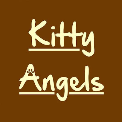 Kitty Angels Stratford Upon Avon - Pet Shop in Birmingham