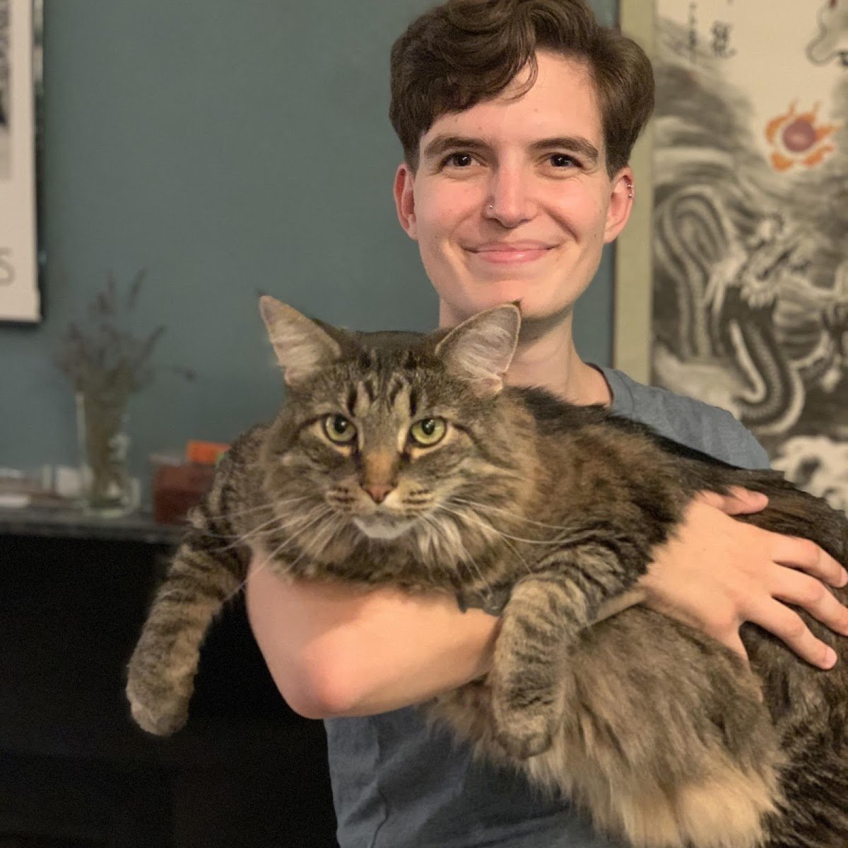 Wise Whiskers Training LLC - Photo 2