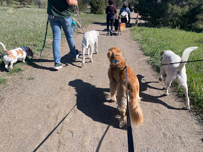 The Good Dog Project