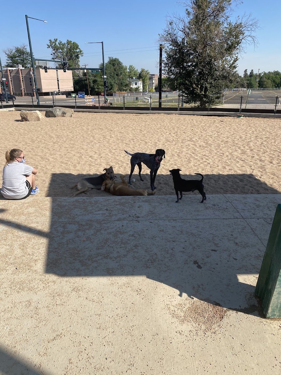 Carla Madison Dog Park - Photo 2