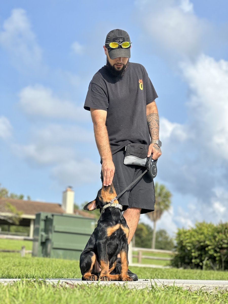 SPK-9 LLC - Photo 2