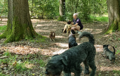 Walkies Pet Services