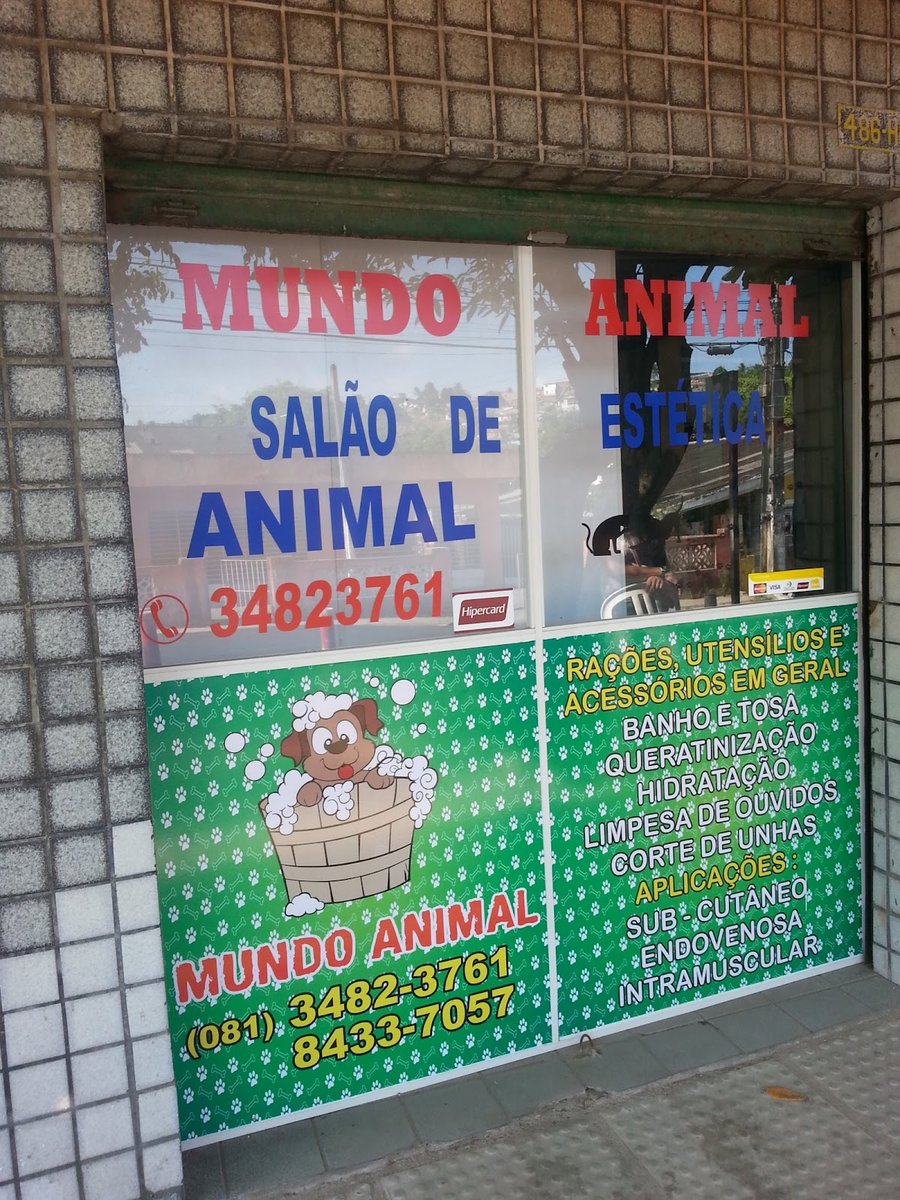 Mundo Animal