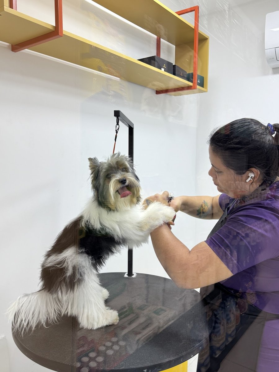 Veterinário