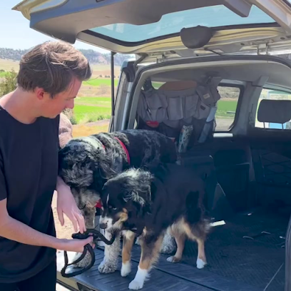 Hounds En Route - Pet Shop in Denver