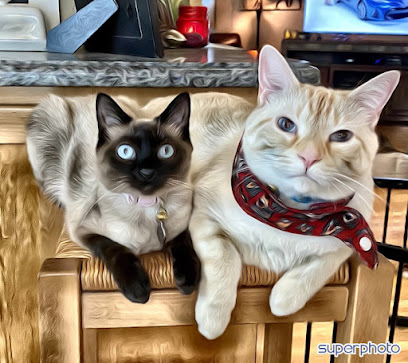 Pet Tenders Pet Sitting