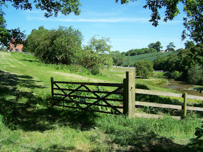 Harvest Hill Kennels - Pet Shop in Coventry