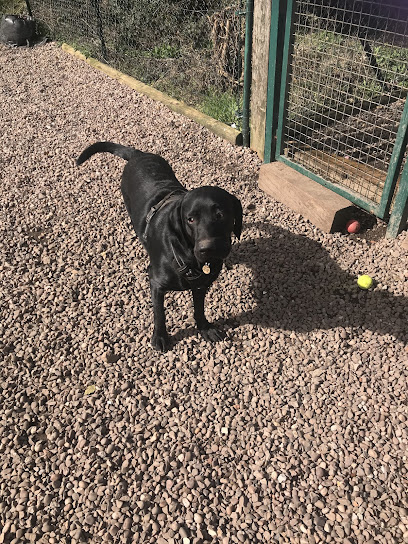 Rio's Retreat now Hickmans Hounds