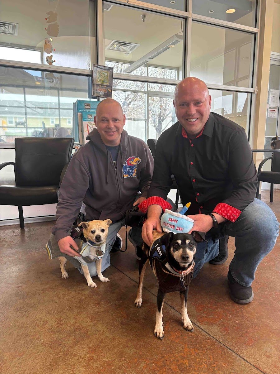 MaxFund Dog Shelter - Photo 2