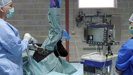 Simon Constable Equine Vets