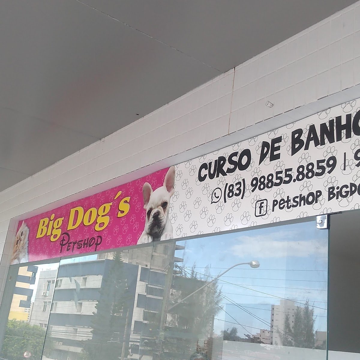 Pet Shop Big Dog'S - Pet Shop em João Pessoa