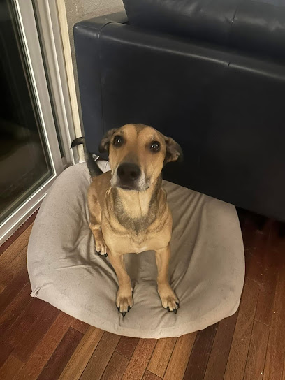 Pet-Unity Pet Services