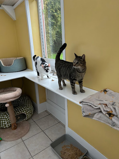 Little Lever Cattery - Pet Shop in Bolton