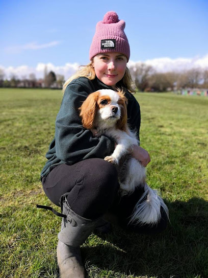 Sherry's Dog Care Services