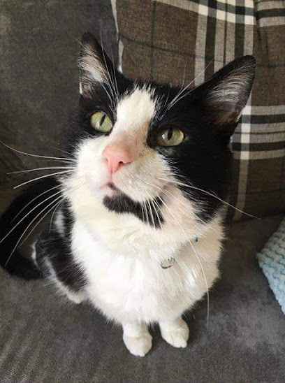 Vets for Pets - Middleton