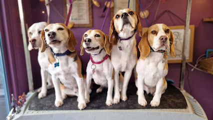 Dogs shed at Doggie Digs! - Pet Shop in Bolton