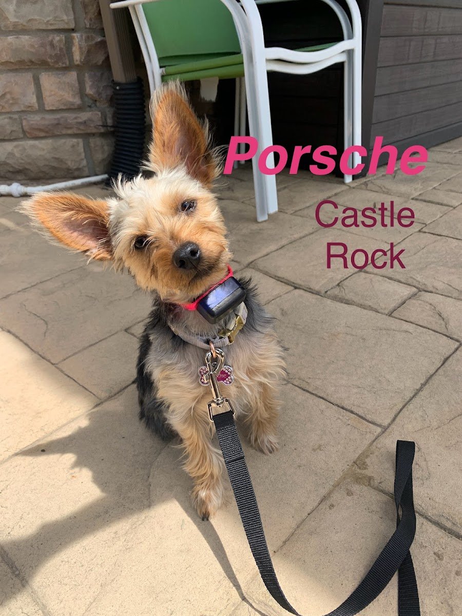 Front Range Pet Stop - Photo 2