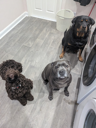 Premier Pawz - Pet Shop in Warrington