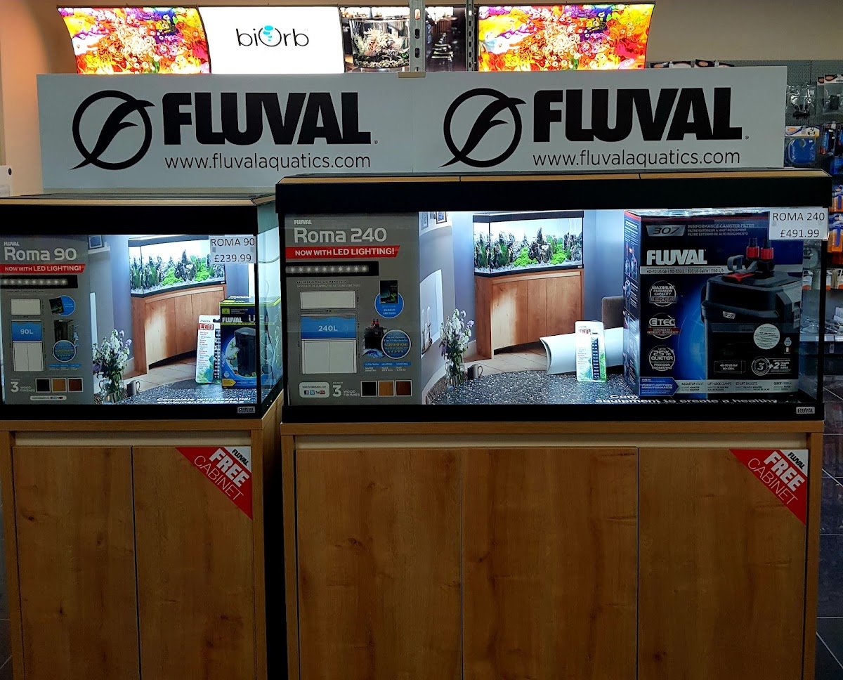 Complete Koi & Aquatics - Photo 2