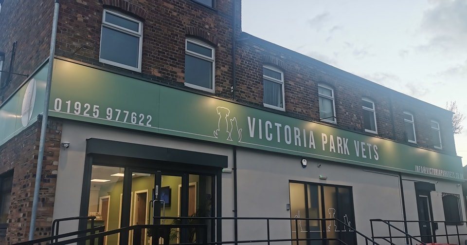 Victoria Park Vets - Photo 2