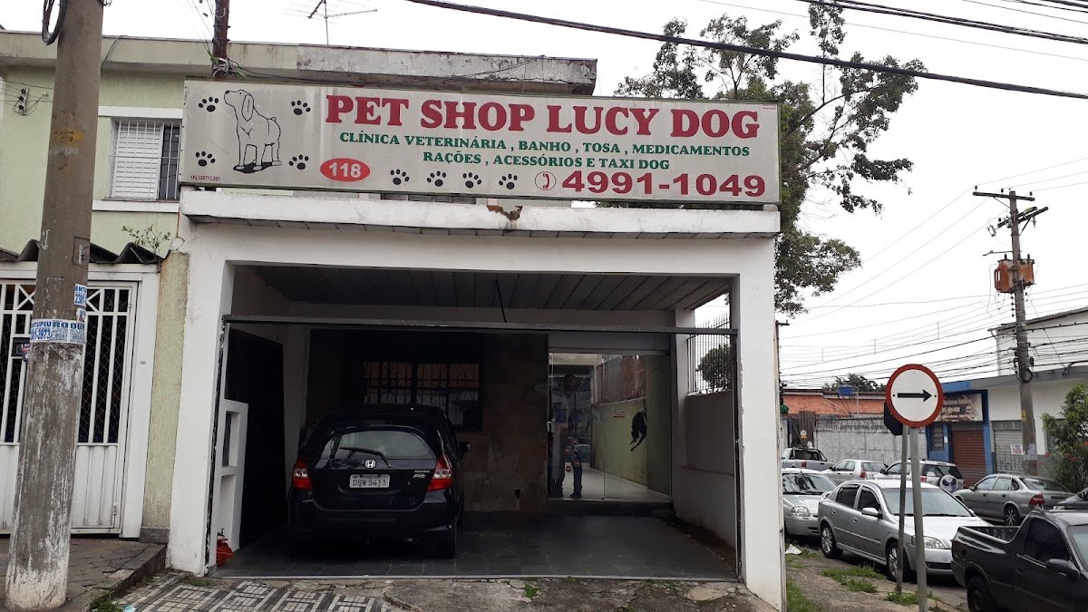 Pet Shop Lucy Dog