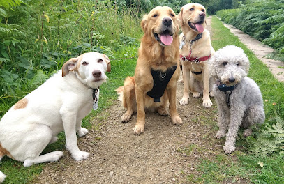 Barks In The Parks Professional dog walker