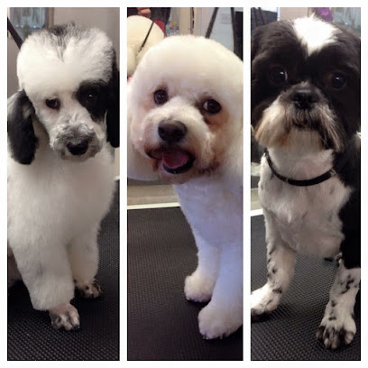 Platinum Dog Grooming - Pet Shop in Bolton