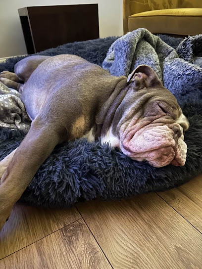 Barking Mad Dog Care Stockport