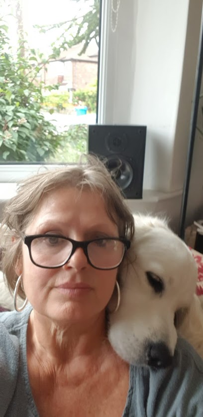 All Inclusive Pooches