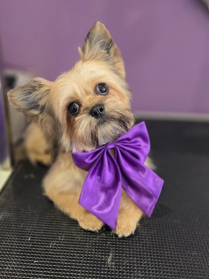 Signature Dog Grooming Academy & Salon