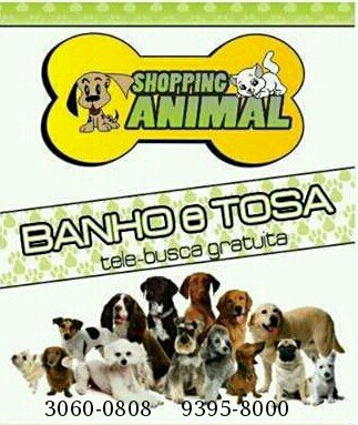 Shopping Animal PetShop