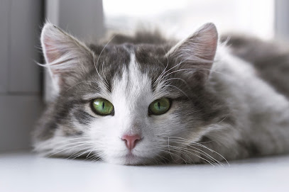 Darley House Veterinary Surgery - Pet Shop in Bolton