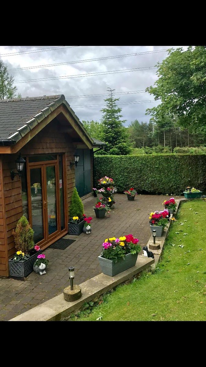 Lakeside Country Cattery - Photo 2