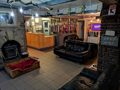 Dog OMighty - Stay Fur Dogs