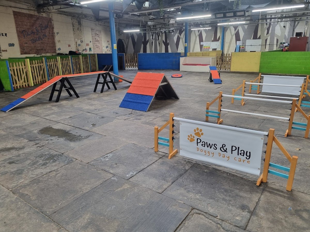 Paws & Play Doggy Day Care - Photo 2