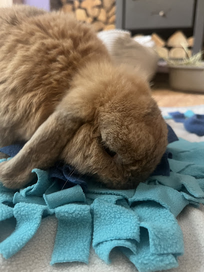 The Exotic Animal Vets