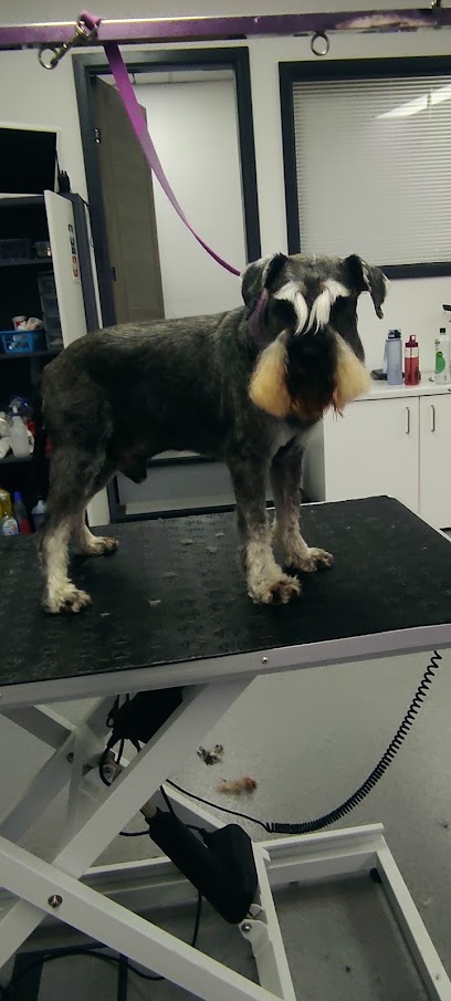 Waggers 2 Swaggers Dog Grooming - Pet Shop in Bolton