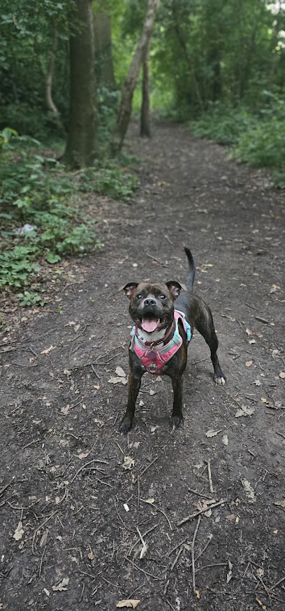 Happi Walks, Dog Boarding, Day Care & Cat Sitting