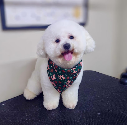 Pampered Paws Dog Grooming