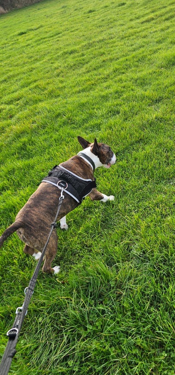 Walking Solo - Photo 2