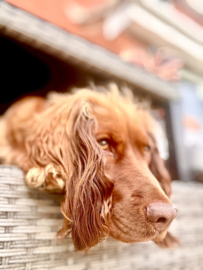 Rutland House Veterinary Surgery, Culcheth - Pet Shop in Warrington