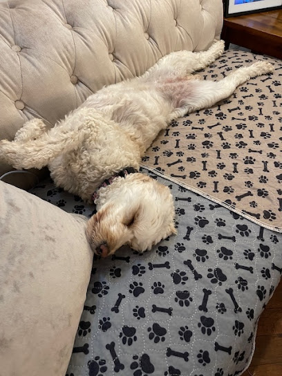 SK Luxury Dog Boarding