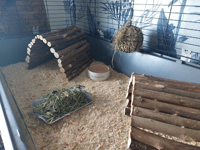 Maple Tree Pet Boarding - Pet Shop in Manchester