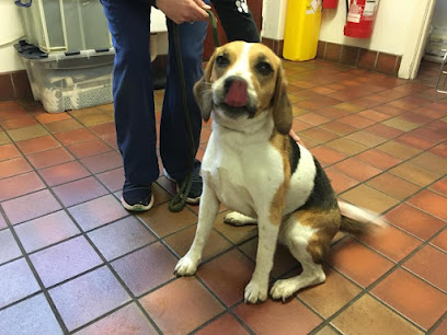 Rutland House Veterinary Surgery, Maple Penketh