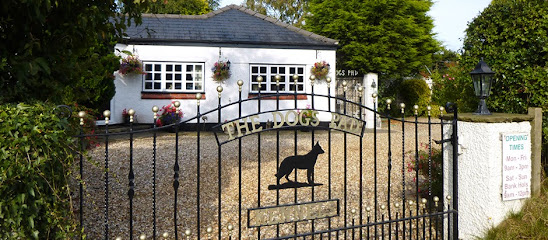 Dogs Pad - Pet Shop in Warrington