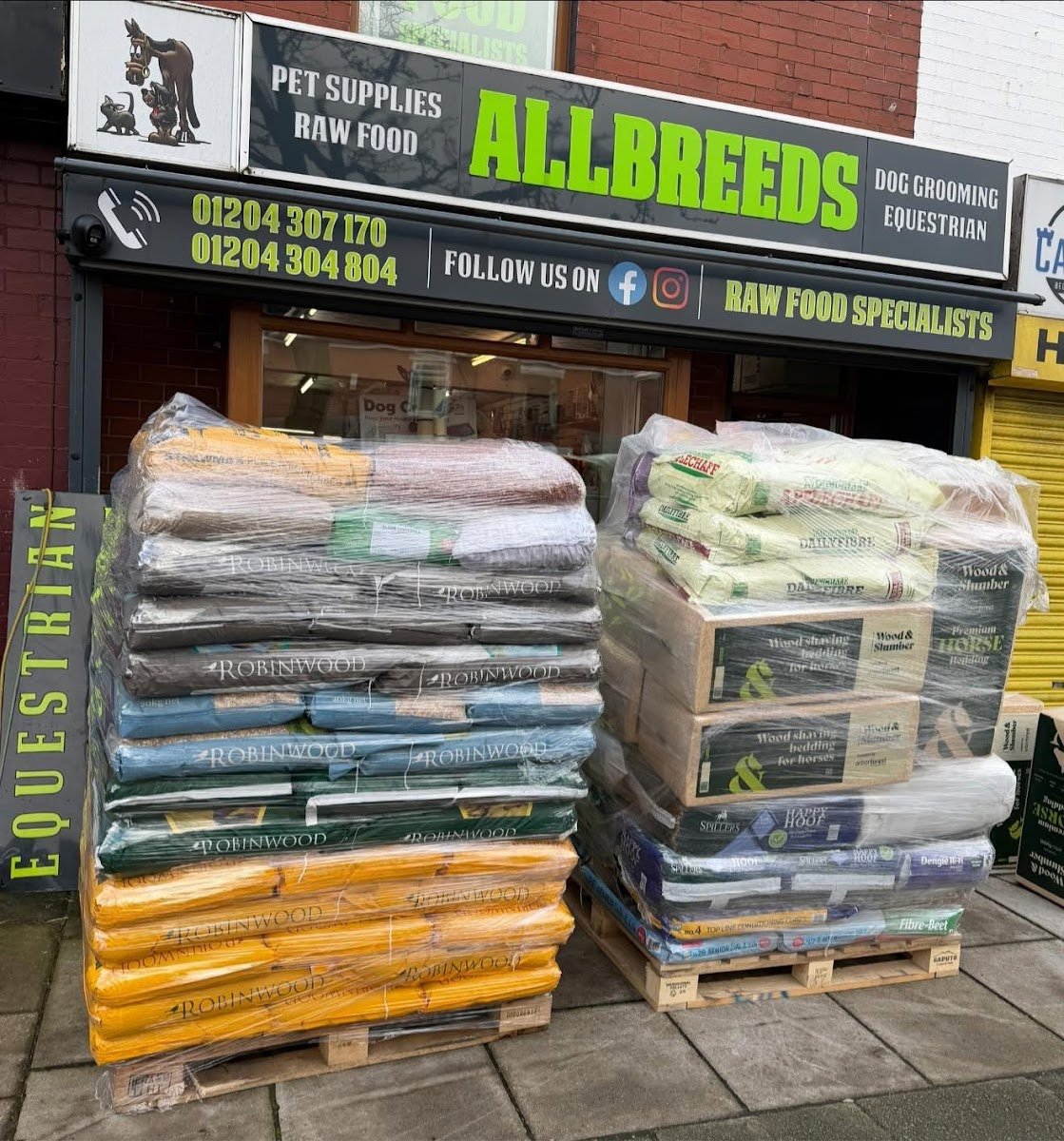 Allbreeds - Photo 2