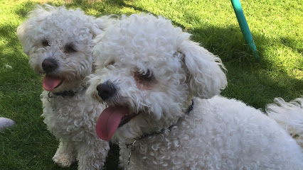 Charlotte's Pawfect Pet Sitting