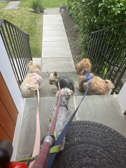 The Muttropolitan Pet