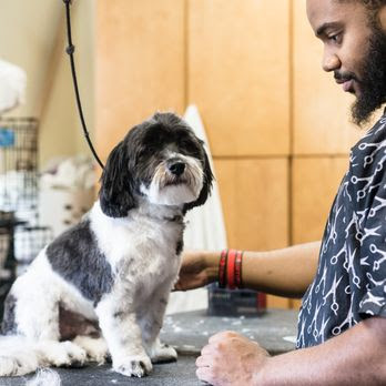 City Dogs 18th Street NW