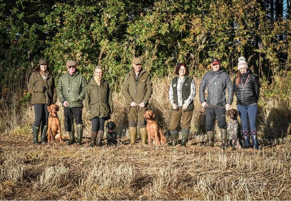 Dogwerx Gundog Training - Photo 2